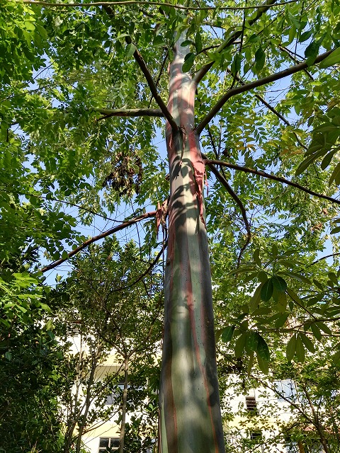 20160419 (7)