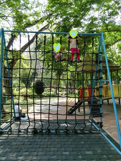 20160505 (12)