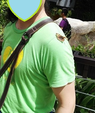 20160708 (6)