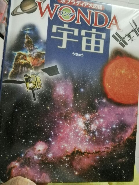 写真